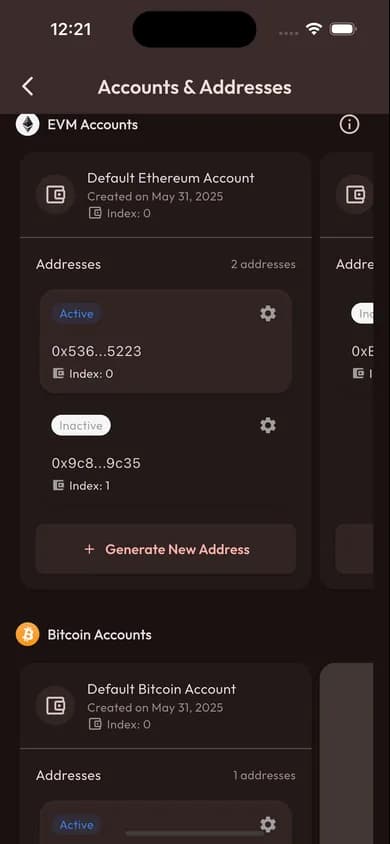 Multiple accounts view showing different blockchain addresses